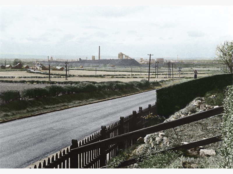 Hazel Terrace, Homelands